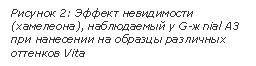 �������: