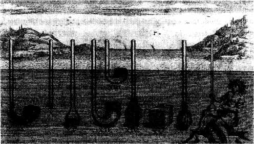 fr-21.jpg