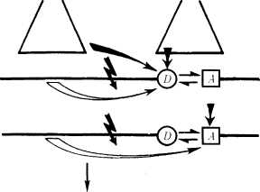 fr-29.jpg