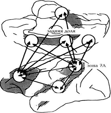 fr-37.jpg