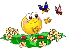http://*****/tsmile/summer/th_3357.gif