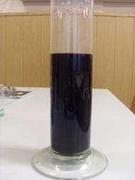 SL380295.JPG