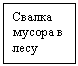 �������: ������ ������ � ���� 