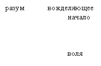 �������: