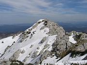 Risnjak.jpg
