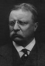 Описание: http://img134.imageshack.us/img134/3844/416pxtheorooseveltsi4.jpg