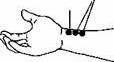 http://*****/content/diagnostic/puls/tehnic2.jpg