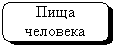 ����������� �������������: ����

��������

