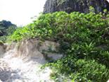 http://*****/images/thailand/Excur/ex-2/ostrov-k.jpg