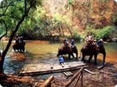 http://*****/images/thailand/Excur/ex-2/safari555.jpg
