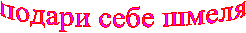 ������ ���� �����