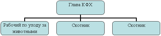 Организационная диаграмма