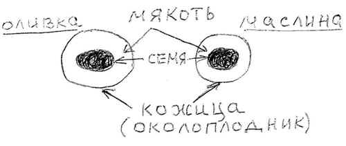 http://*****/articles/506805/2.jpg