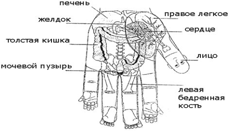 http://*****/articles/521590/img2.jpg