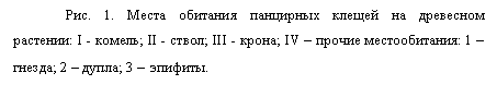 �������: