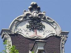Vygenboom-web