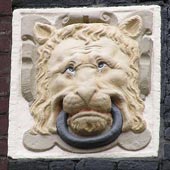 leeuwen-kop-web