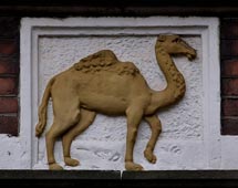 Camel-web
