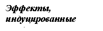�������: