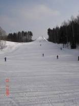 skivirage_den_02