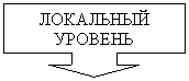 Выноска со стрелкой вниз: ЛОКАЛЬНЫЙ УРОВЕНЬ