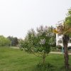 litfond2461_b