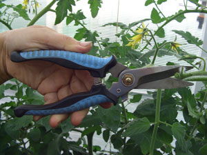 http://*****/images/stories/agro/nozh-1.JPG