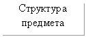Подпись: Структура предмета