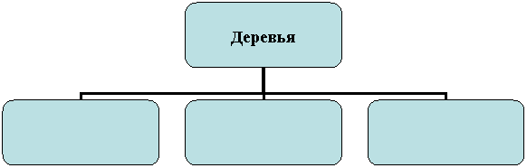 Организационная диаграмма