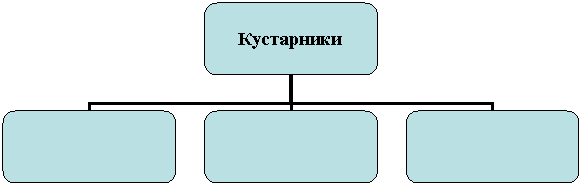 Организационная диаграмма