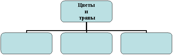 Организационная диаграмма