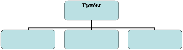 Организационная диаграмма
