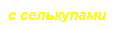 �������: � ����������