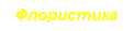 �������: ����������