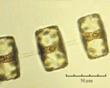 C:\BioAtlas\Revision\Phyto-albom\Im-New\Th-gr-ii.jpg