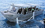 Tahiti Aggressor