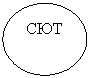 Овал: СЮТ