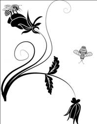 G:\ФОТО\ФШ\рамки фотошоп\floral - копия (3).jpg