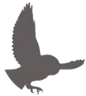 D:\РАБОТА\ЛЕКЦИИ И ЭКСКУРСИИ\учителям\материал\Копия (2) Копия Копия _birds_vector_silhouettes - копия.jpg