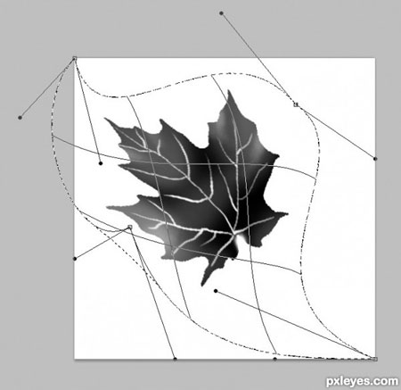 http://*****/lessons/les1622/12.jpg
