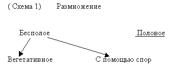 E:\биология\голосеменные.files\img3.gif