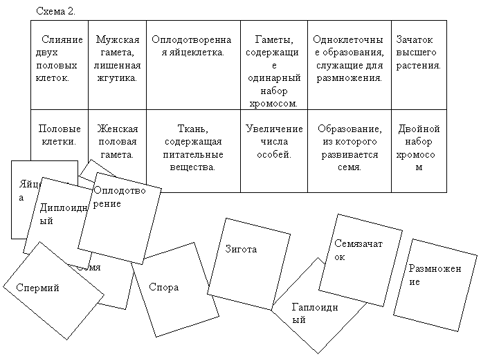 E:\биология\голосеменные.files\img4.gif