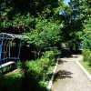 miyanew4