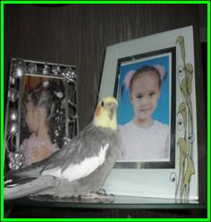 SAM_1056
