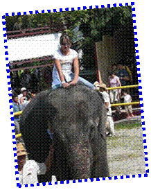 miniCIMG0165"