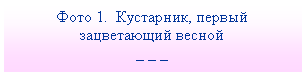 Подпись:
