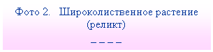 Подпись: