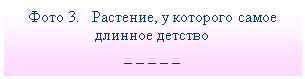 Подпись: