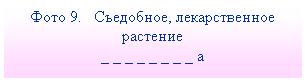 Подпись: