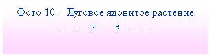 �������: ���� 10. ������� <a title=